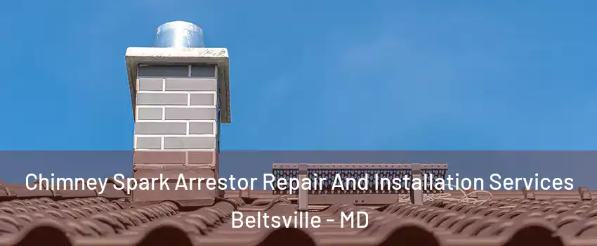 Chimney Spark Arrestor Repair And Installation Services Beltsville - MD