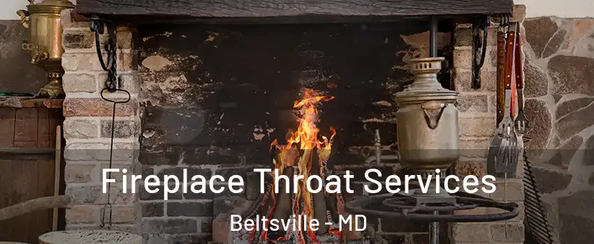  Fireplace Throat Services Beltsville - MD